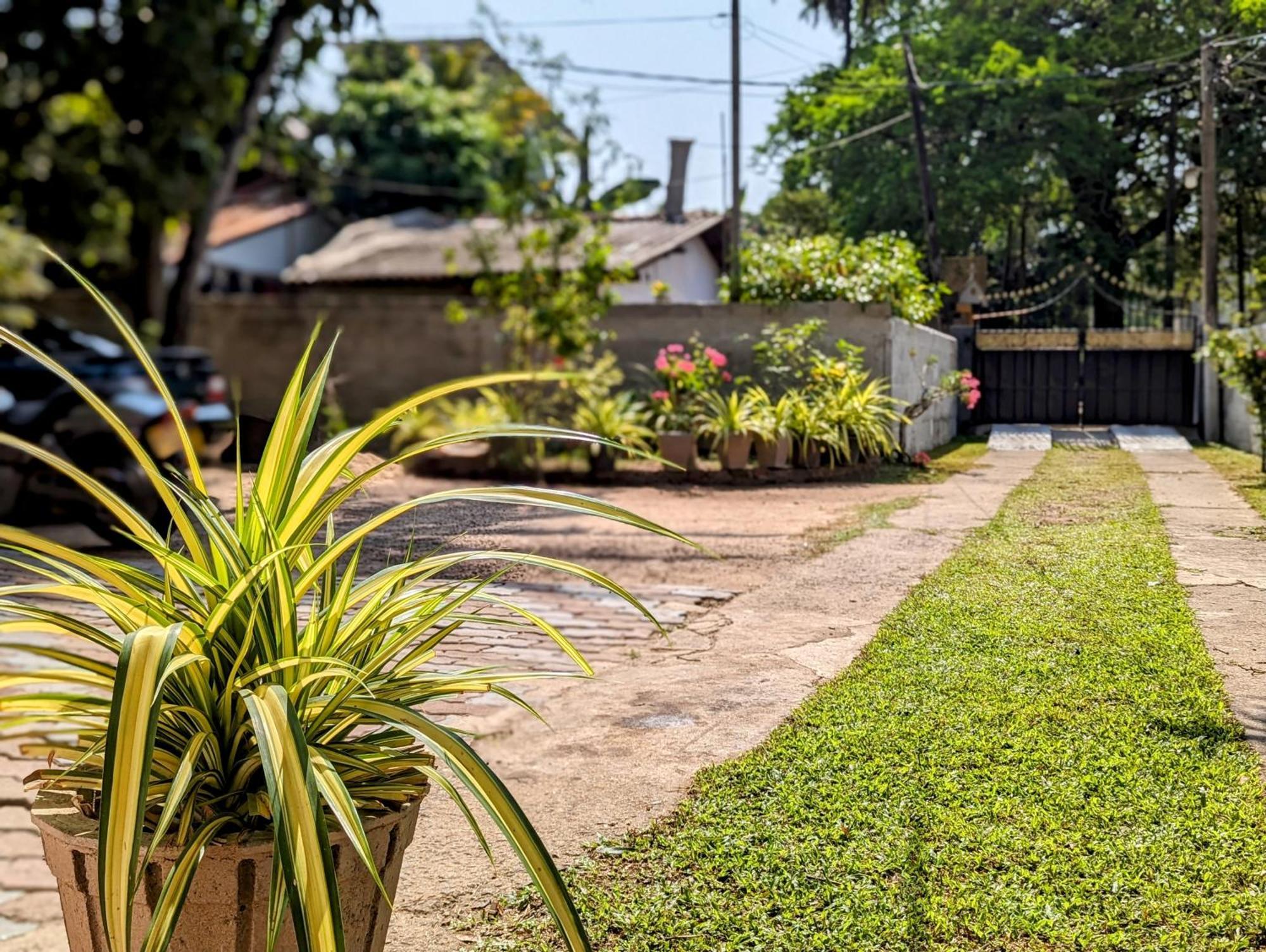 Villa 163 Negombo Zewnętrze zdjęcie