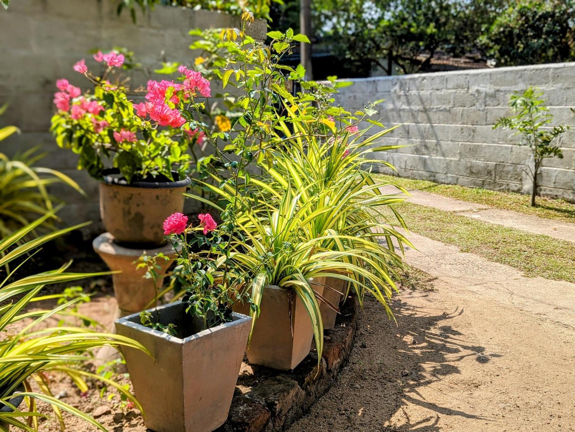 Villa 163 Negombo Zewnętrze zdjęcie